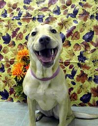 Lucy W Thanks 10.jpg